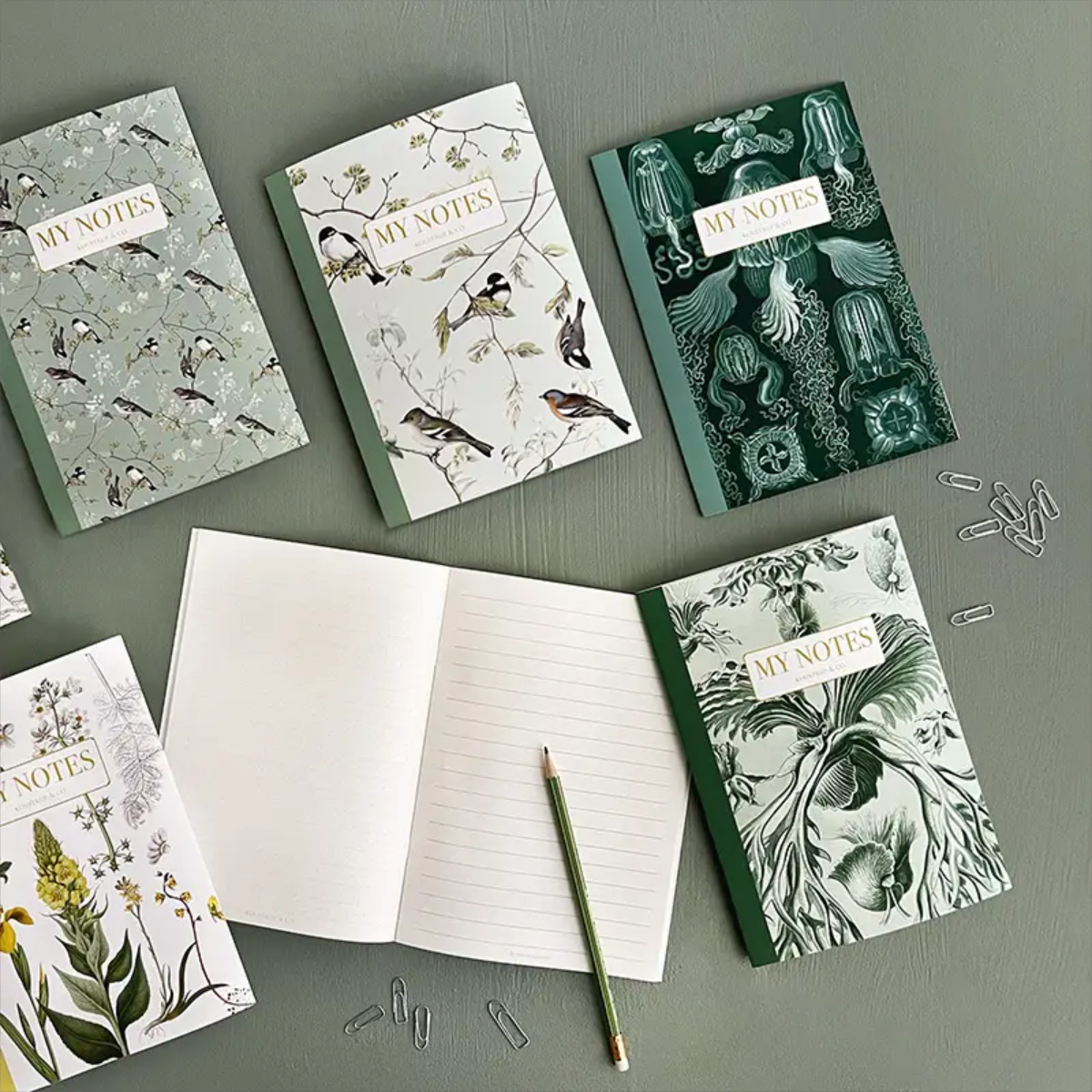 Noteshæfte. Havens fugle, 48 sider B: 15,4 cm H: 21,5 cm