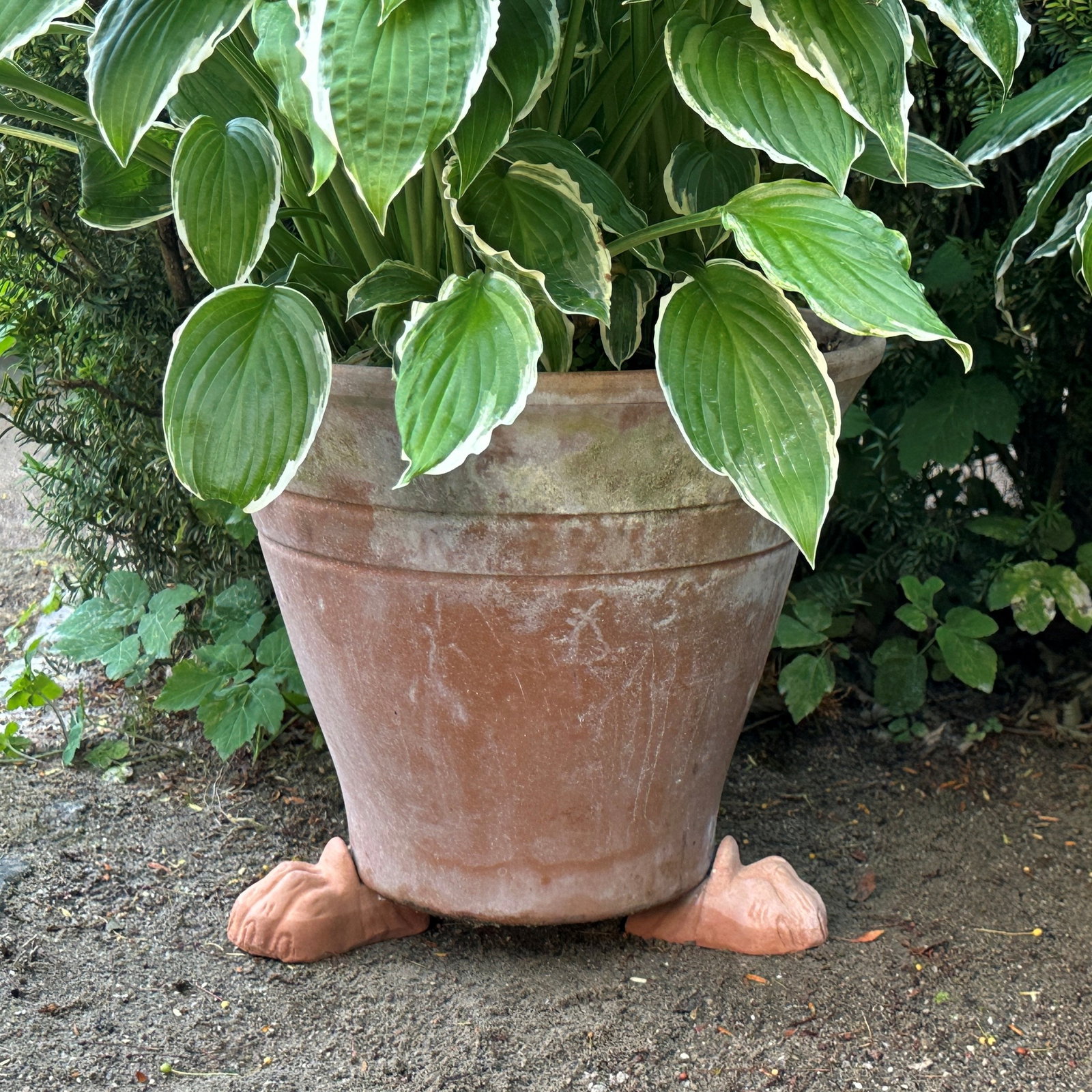 Sæt med 3 løvefødder XL. B: 7 cm H: 5 cm L 11,5 cm